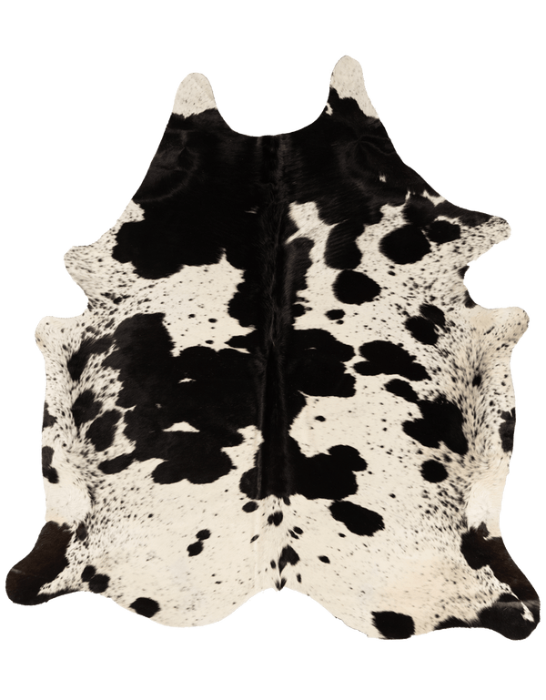 Samuel Design / Gouy Project / Black Speckle #2218