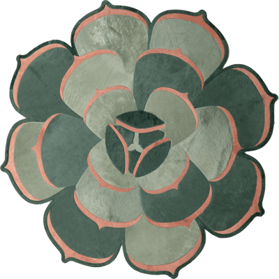 Succulent 2 
