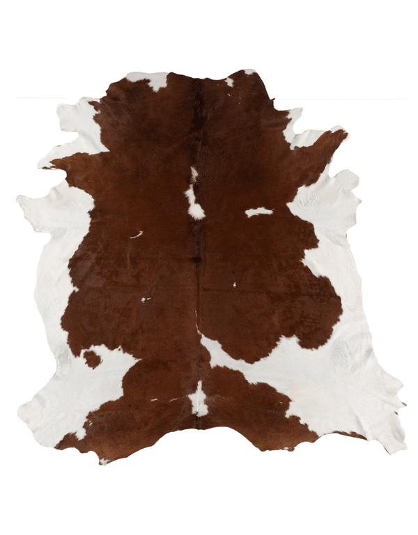 Brown Cloud #17256
