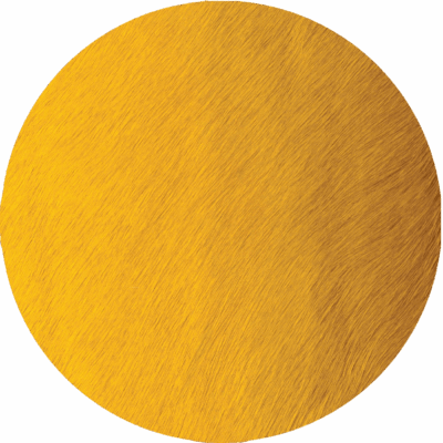 Chick