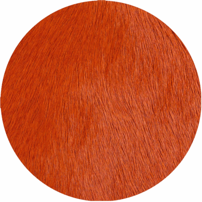 Cone
