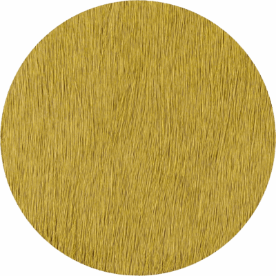 Kelp