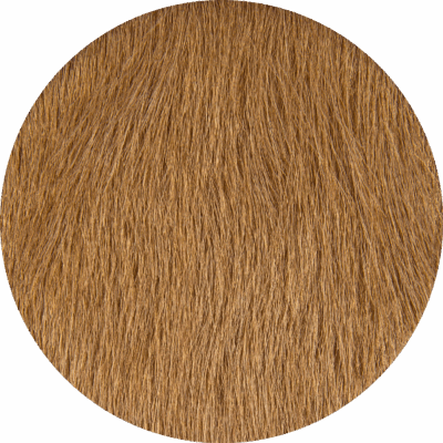 Oak
