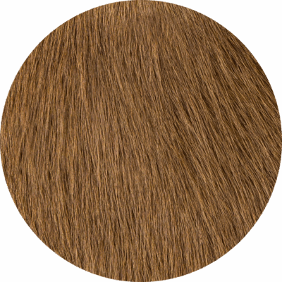 Pecan