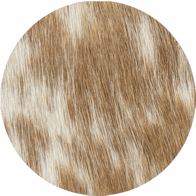 Brown Speckle