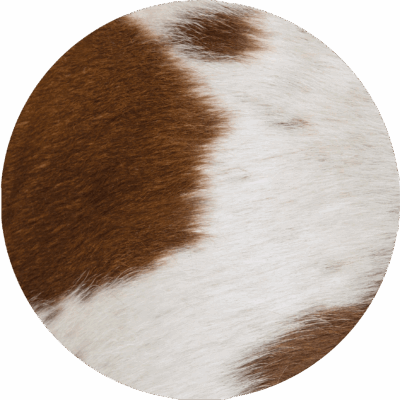 Brown Cloud