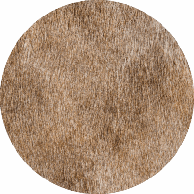 Clove