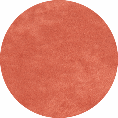 Melon