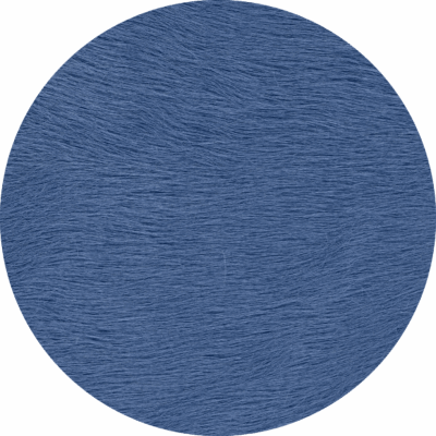 Bluebonnet