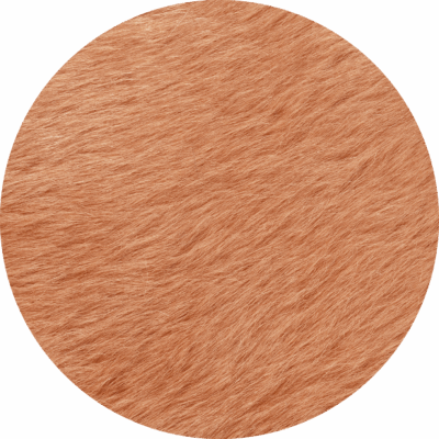 Guava
