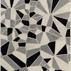 Lexar 22198