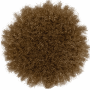 Alder