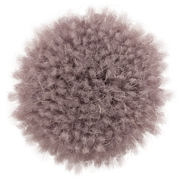 Aster
