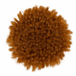 Bellini
