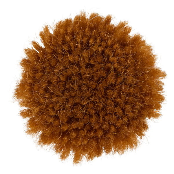 Bellini