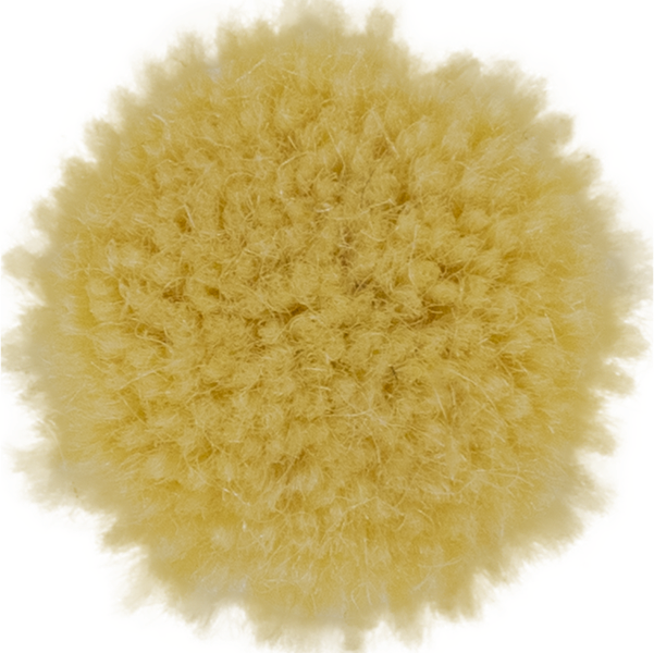 Butter