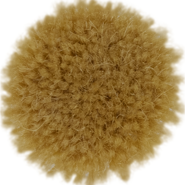 Butterscotch