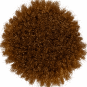 Caramel