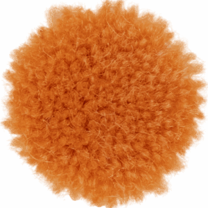 Oranges