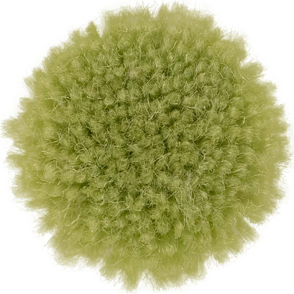 Caterpillar