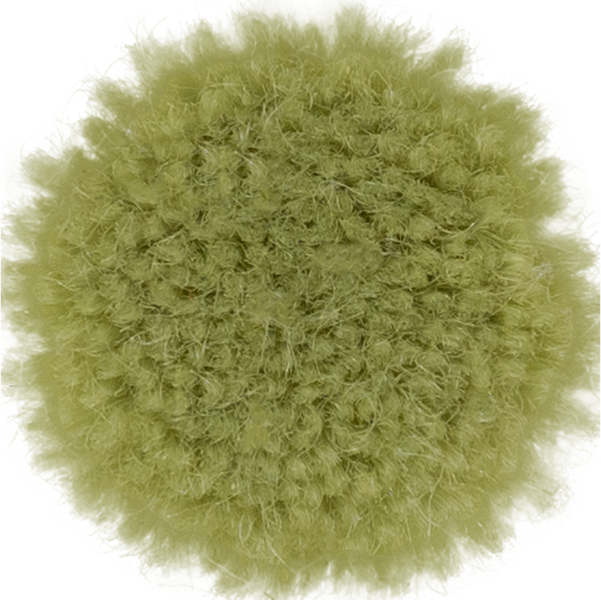Celery