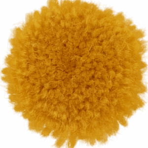 Chick