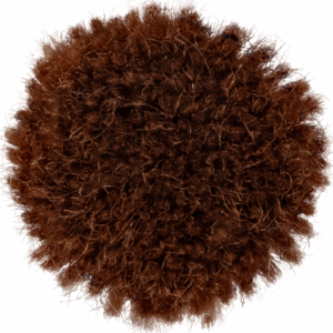 Cinnamon