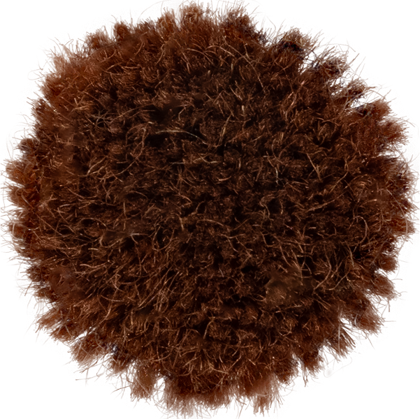 Cinnamon