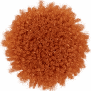 Cone