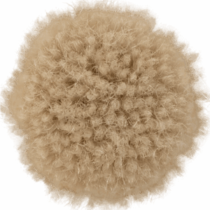 Cotton
