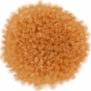 Creamsicle