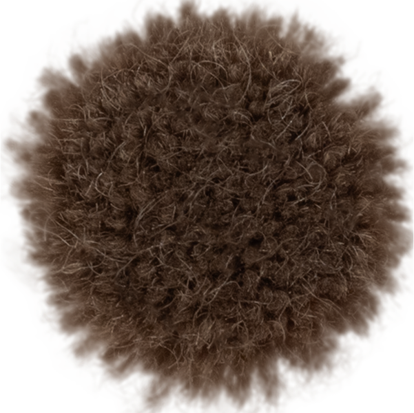Elm