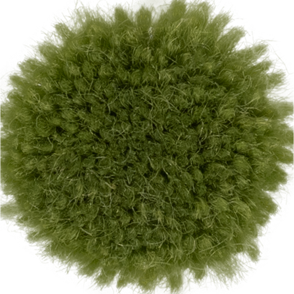 Fern
