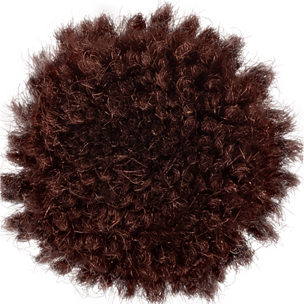 Fig