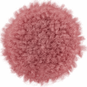 Pinks
