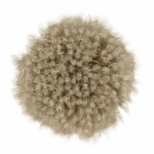 Flour