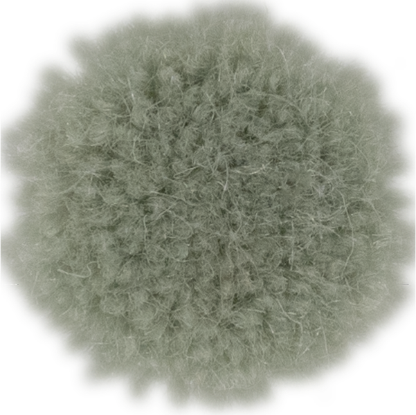 Foam
