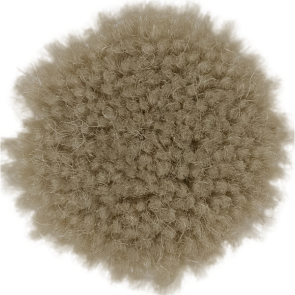 Fossil