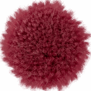 Granita
