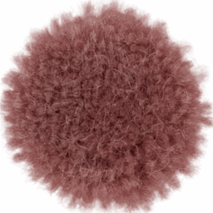 Gum
