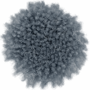 Hydrangea