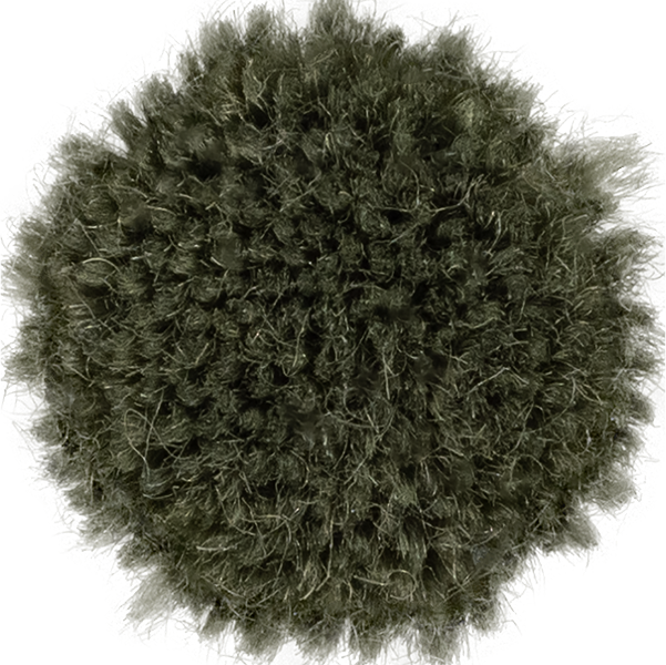 Lichen