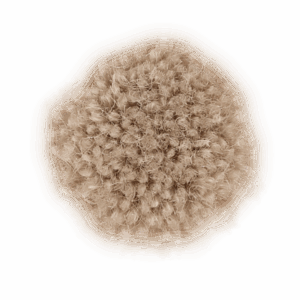 Linen