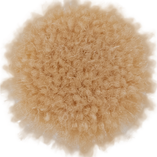 Lychee