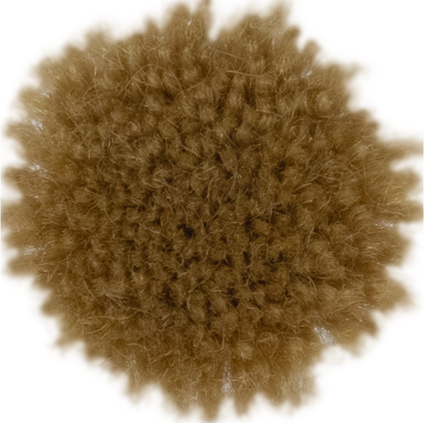 Maple