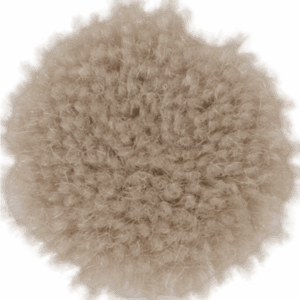 Meringue