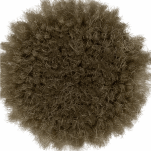 Moss
