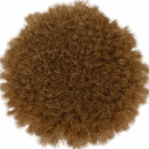 Oak