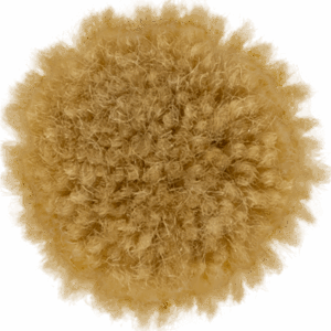 Oat