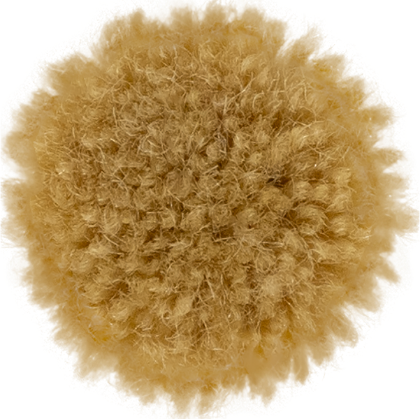 Oat
